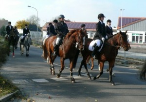 Fuchsjagt vormittags 2009 138