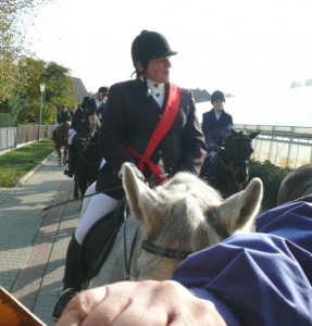 Fuchsjagt vormittags 2009 140