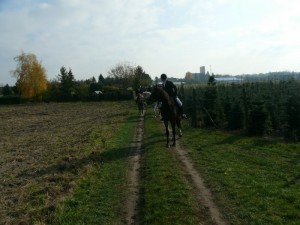 Fuchsjagt vormittags 2009 146
