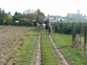 Fuchsjagt vormittags 2009 147
