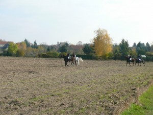 Fuchsjagt vormittags 2009 148