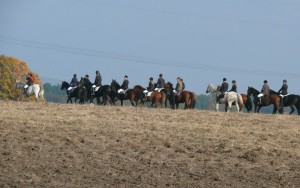 Fuchsjagt vormittags 2009 150