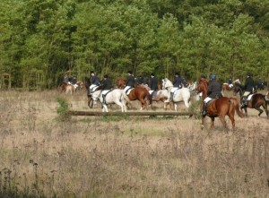 Fuchsjagt vormittags 2009 151