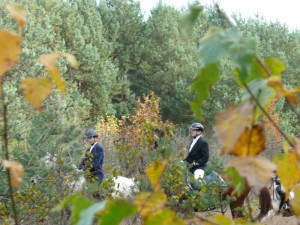 Fuchsjagt vormittags 2009 154