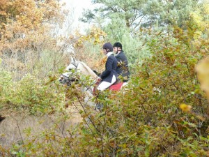 Fuchsjagt vormittags 2009 155