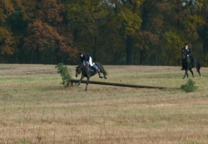 Fuchsjagt vormittags 2009 160
