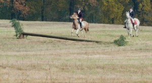 Fuchsjagt vormittags 2009 164