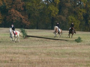 Fuchsjagt vormittags 2009 166