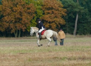 Fuchsjagt vormittags 2009 167