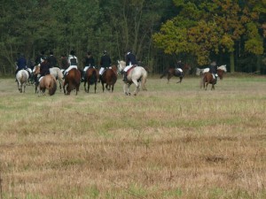 Fuchsjagt vormittags 2009 168
