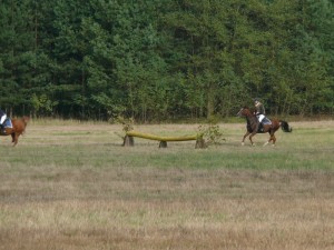 Fuchsjagt vormittags 2009 175