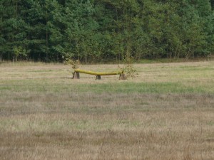 Fuchsjagt vormittags 2009 176