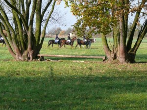 Fuchsjagt vormittags 2009 48