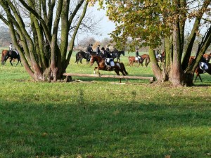 Fuchsjagt vormittags 2009 49
