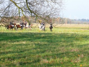Fuchsjagt vormittags 2009 51