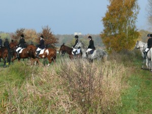 Fuchsjagt vormittags 2009 57