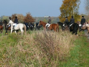 Fuchsjagt vormittags 2009 59
