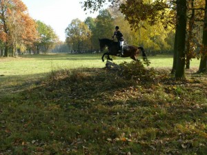 Fuchsjagt vormittags 2009 68