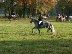 Fuchsjagt vormittags 2009 71