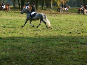 Fuchsjagt vormittags 2009 72