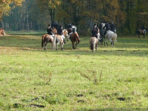 Fuchsjagt vormittags 2009 73