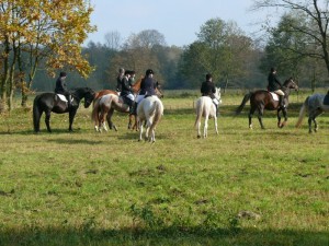 Fuchsjagt vormittags 2009 74